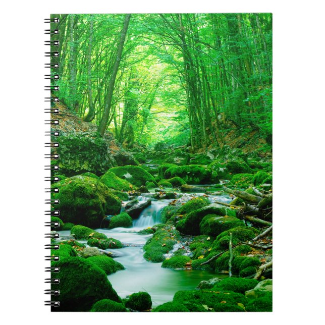 Cuaderno Bosque de madera de verano profundo, bosques de fo (Frente)