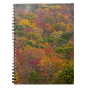 Cuaderno Bosque de madera dura en el condado de Randolph, V