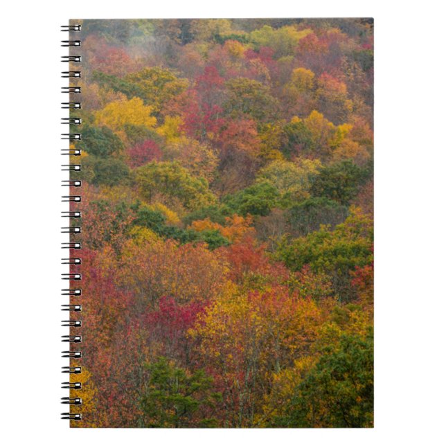 Cuaderno Bosque de madera dura en el condado de Randolph, V (Frente)