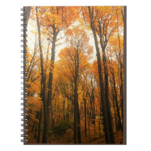 Cuaderno Bosque de otoño naranja