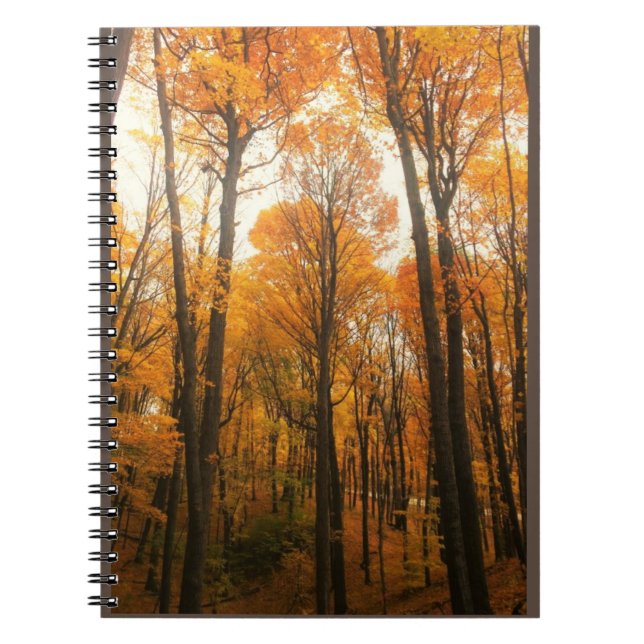 Cuaderno Bosque de otoño naranja (Frente)