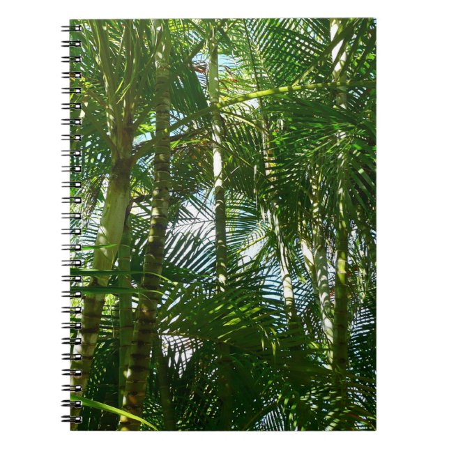 Cuaderno Bosque de palmeras Naturaleza tropical (Frente)