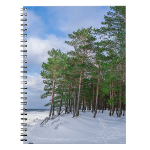 Cuaderno Bosque de pino cerca de la costa marítima de Leton