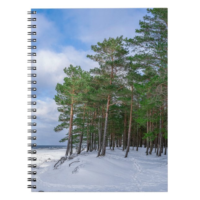 Cuaderno Bosque de pino cerca de la costa marítima de Leton (Frente)