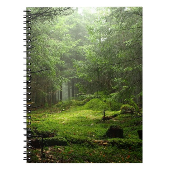 Cuaderno Bosque de Sterious (Frente)