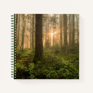 Cuaderno Bosque del noroeste del Pacífico   Mañana nublad