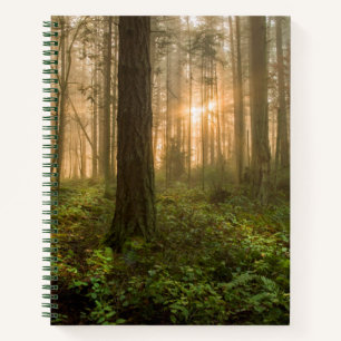Cuaderno Bosque del noroeste del Pacífico   Mañana nublad