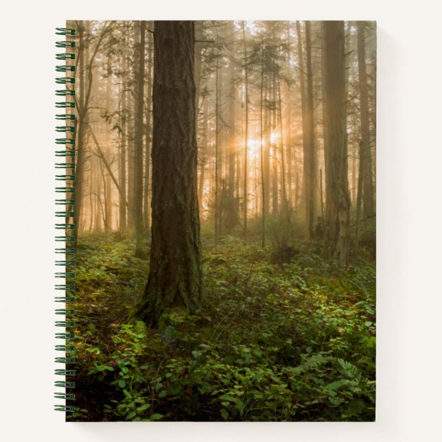 Cuaderno Bosque del noroeste del Pacífico | Mañana nublada (Anverso)