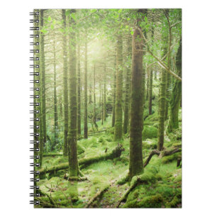 Cuaderno Bosque en el parque nacional el Kerry, Irlanda