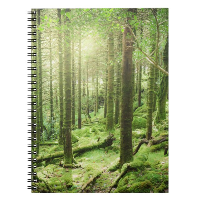 Cuaderno Bosque en el parque nacional el | Kerry, Irlanda (Frente)