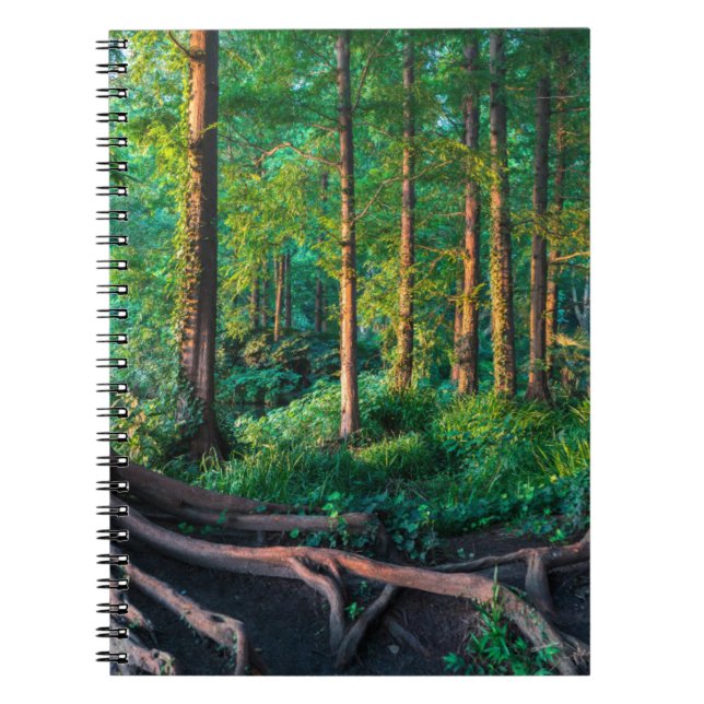 Cuaderno Bosque en verano (Frente)