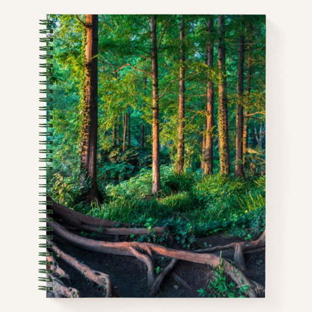 Cuaderno Bosque en verano (Anverso)