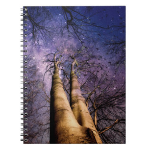 Cuaderno Bosque encantado
