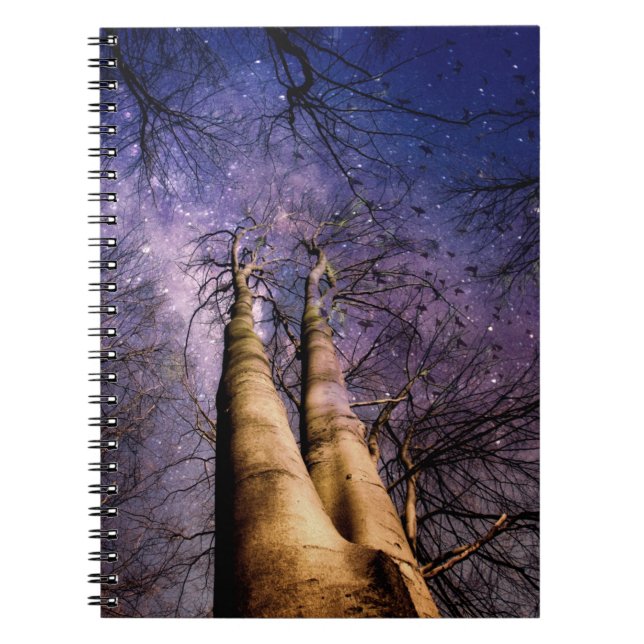 Cuaderno Bosque encantado (Frente)