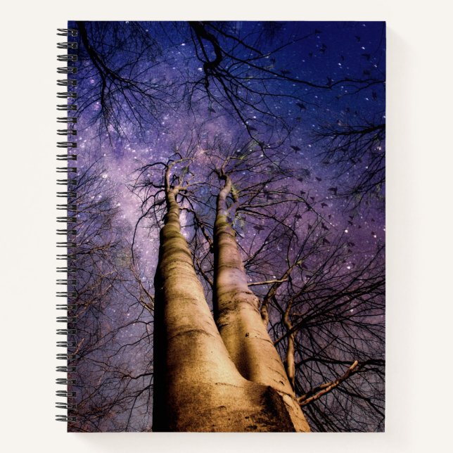 Cuaderno Bosque encantado (Anverso)