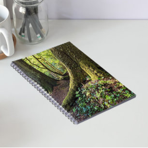 Cuaderno Bosque exuberante de hoja perenne