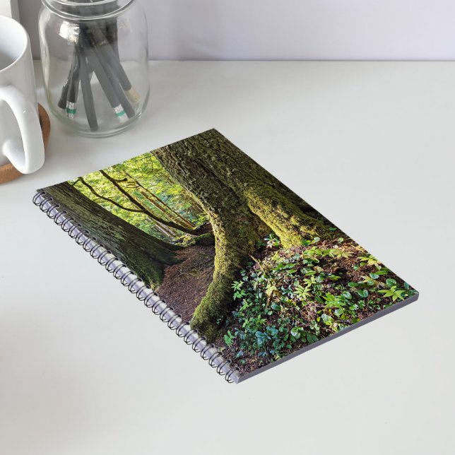 Cuaderno Bosque exuberante de hoja perenne (In Situ)