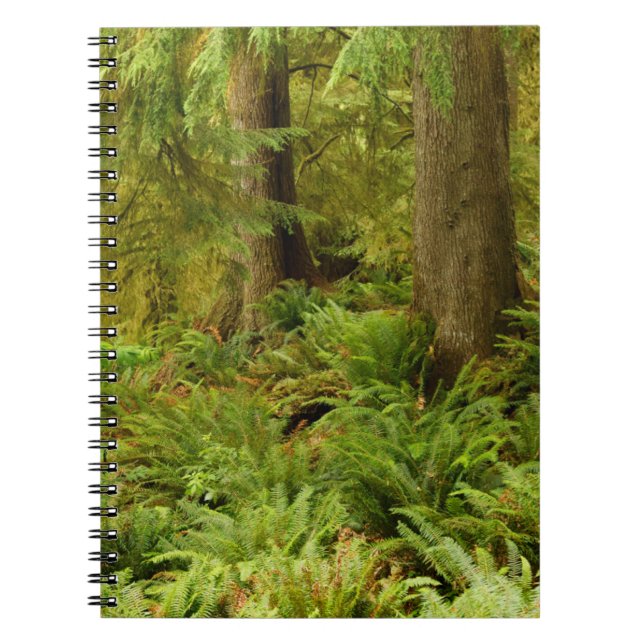 Cuaderno Bosque exuberante y helechos | Parque Estatal Ecol (Frente)
