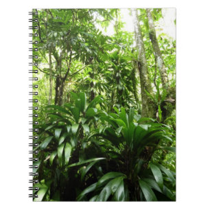 Cuaderno Bosque lluvioso dominicano I Naturaleza tropical v