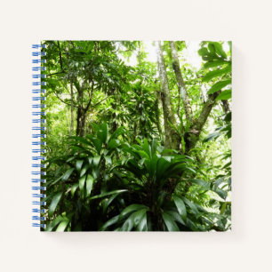 Cuaderno Bosque lluvioso dominicano I Naturaleza tropical v