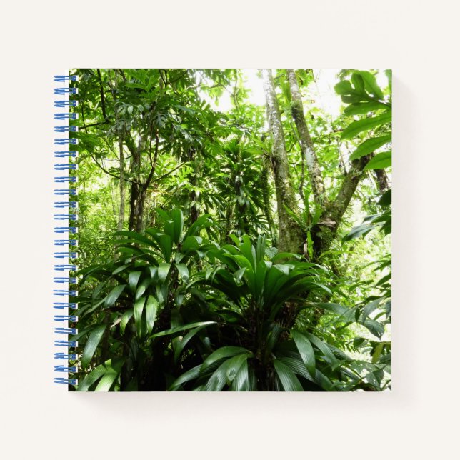 Cuaderno Bosque lluvioso dominicano I Naturaleza tropical v (Anverso)