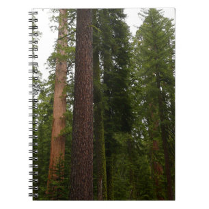 Cuaderno Bosque Mariposa en el Parque Nacional Yosemite
