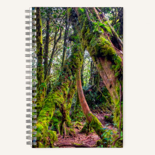 Cuaderno Bosque Musgoso