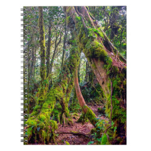 Cuaderno Bosque Musgoso