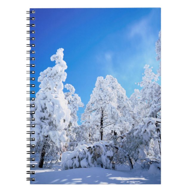 Cuaderno Bosque Nacional Cleveland (Frente)