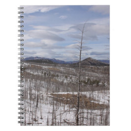 Cuaderno Bosque nacional de Pike