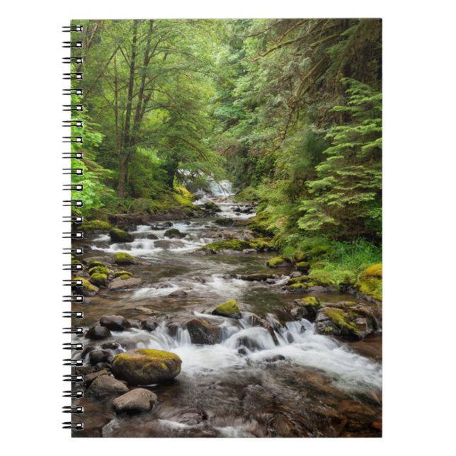 Cuaderno Bosque nacional de Siuslaw | Creek dulce (Frente)