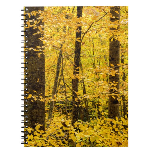 Cuaderno Bosque Nacional Fall Pisgah (Frente)