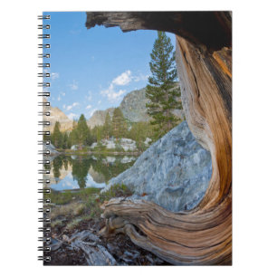 Cuaderno Bosque Nacional Inyo, California