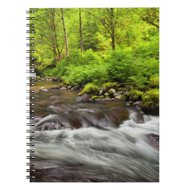 Cuaderno Bosque Nacional Siuslaw, Creek dulce, Oregón (Frente)
