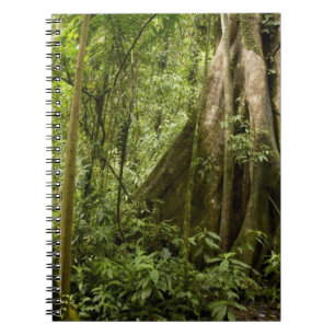 Cuaderno Bosque nuboso, Bosque de Paz, Costa Rica