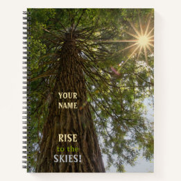 Cuaderno Bosque Pacífico con Estallido de Luz Dorada del So