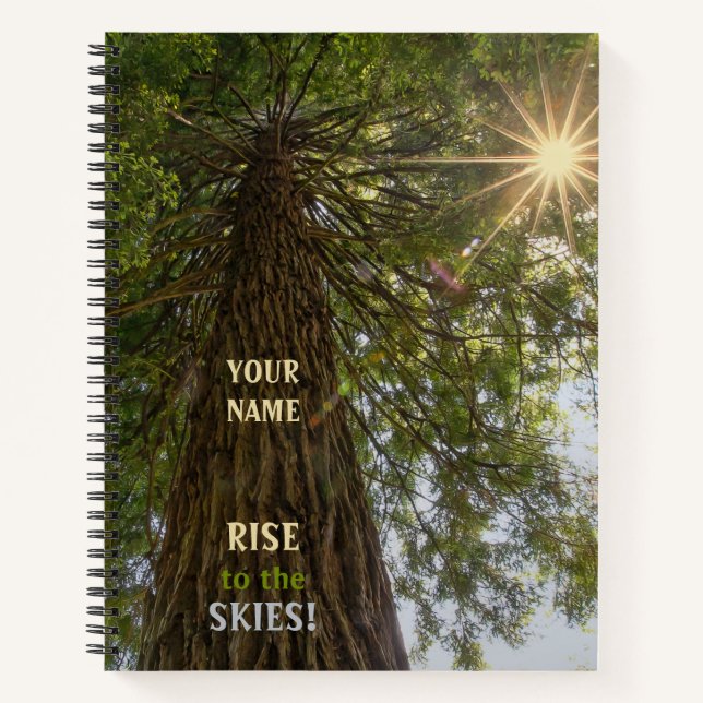 Cuaderno Bosque Pacífico con Estallido de Luz Dorada del So (Anverso)