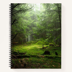 Cuaderno Bosque peligroso