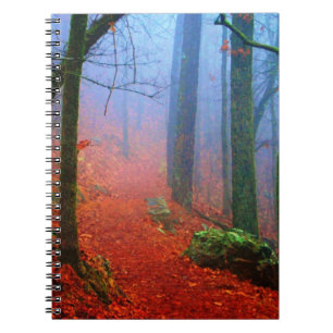 Cuaderno Bosque Pintado Niebla Azul de Otoño