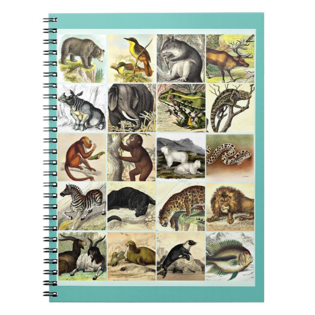 Cuaderno Bosque, Selva Y Collage De Animales Oceánicos (Frente)