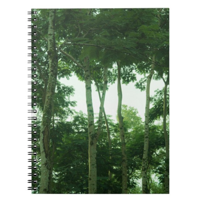 Cuaderno Bosque tropical (Frente)