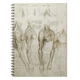 Cuaderno Bosquejos esqueléticos humanos de la anatomía de