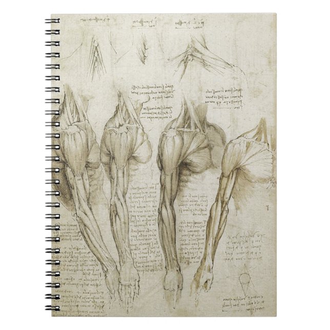 Cuaderno Bosquejos esqueléticos humanos de la anatomía de (Frente)