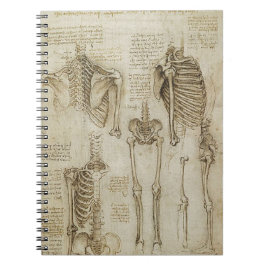 Cuaderno Bosquejos esqueléticos humanos de la anatomía de