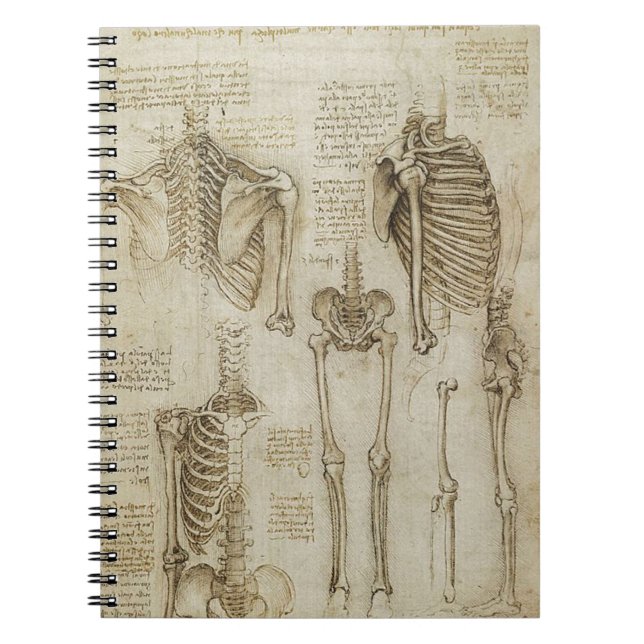 Cuaderno Bosquejos esqueléticos humanos de la anatomía de (Frente)