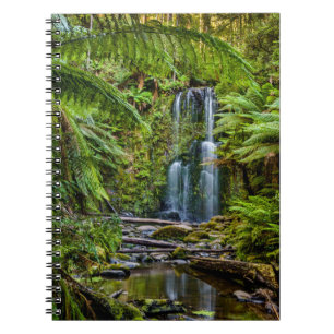 Cuaderno Bosques Beauchamp Falls Australia