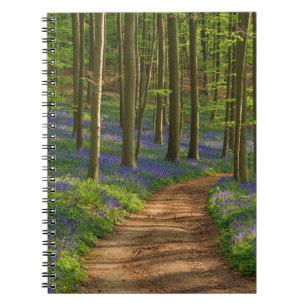 Cuaderno Bosques Bosque de Bluebell en Bélgica