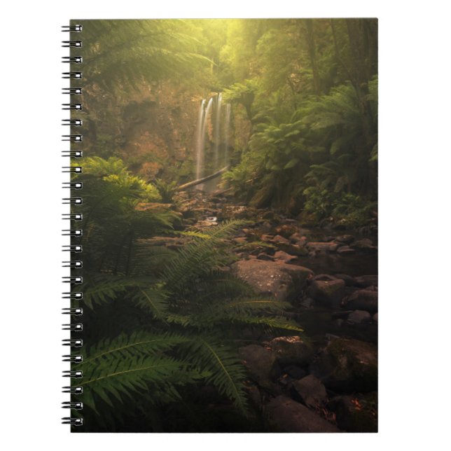 Cuaderno Bosques | Cascada con los aspectos más destacados  (Frente)