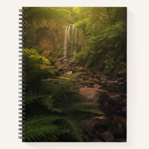 Cuaderno Bosques   Cascada con los aspectos más destacados