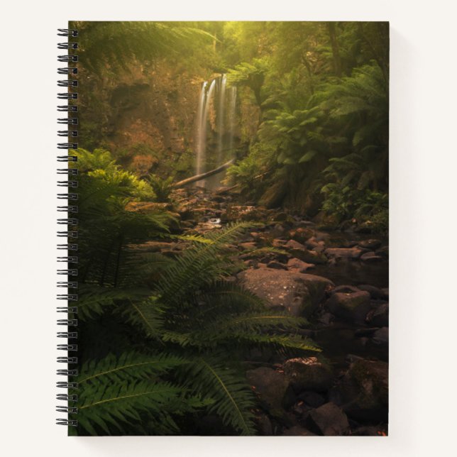 Cuaderno Bosques | Cascada con los aspectos más destacados  (Anverso)